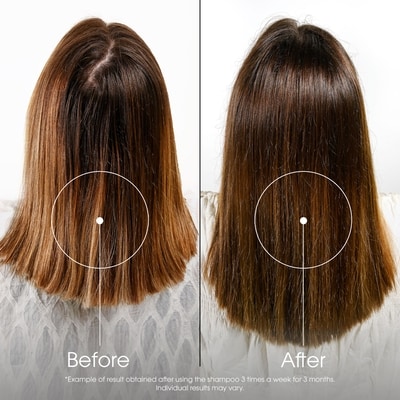 Fortifying shampoo with Quinine, Restores Resistance & Vitality, For Thinning, Tired Hair & Hair Loss 7