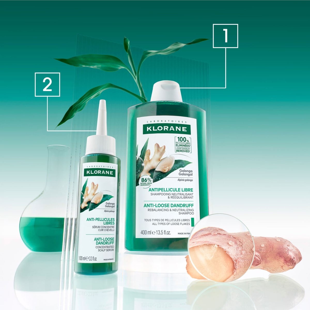 Concentrated Scalp Serum with Galangal - Anti-Loose Dandruff - High tolerance formula - 100 ml