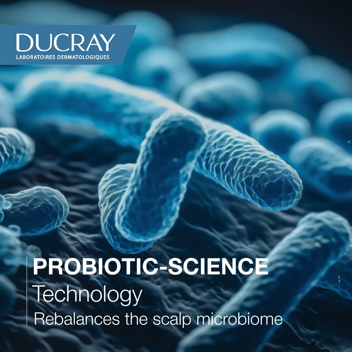 Kelual Squanorm Shampooing normalisant - Pellicules libres grasses