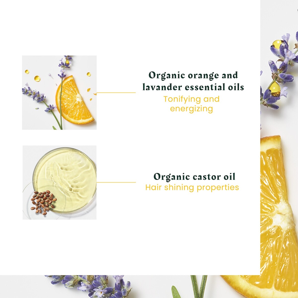 Head Spa Complexe 5 concentrate - All types of scalps and hair - Energizing