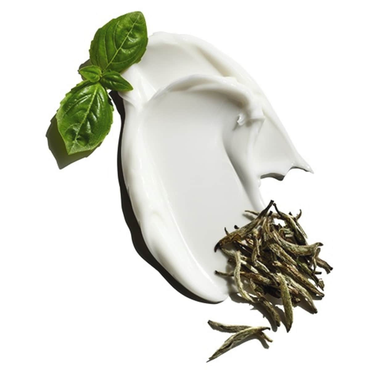 Clean Break Oil-Free Moisturizer