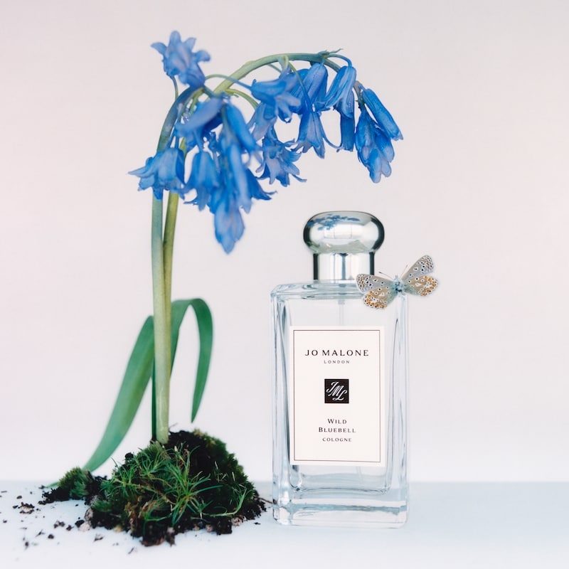 Jo Malone London Wild Bluebell Cologne | Shoppers Drug Mart