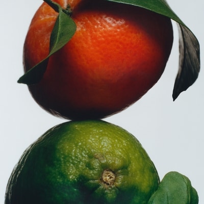 Lime Basil & Mandarin Diffuser 3