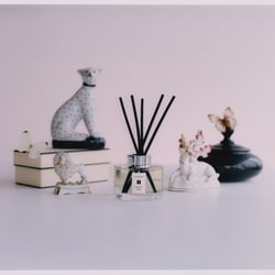 Lime Basil & Mandarin Diffuser 4