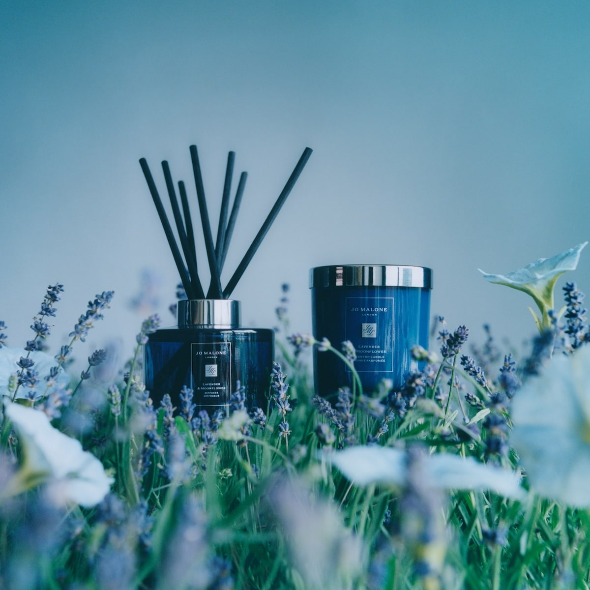Jo Malone London Lavender & Moonflower Diffuser | Shoppers Drug Mart