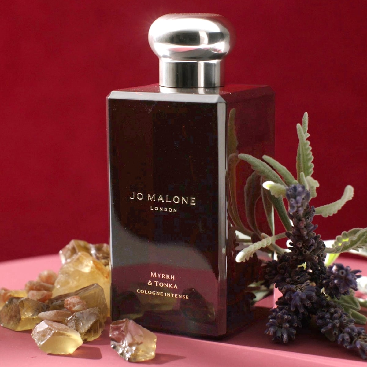 Jo Malone London Myrrh & Tonka Cologne Intense | Shoppers Drug Mart