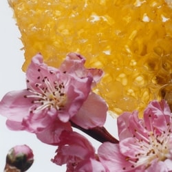 Nectarine Blossom & Honey Cologne 3