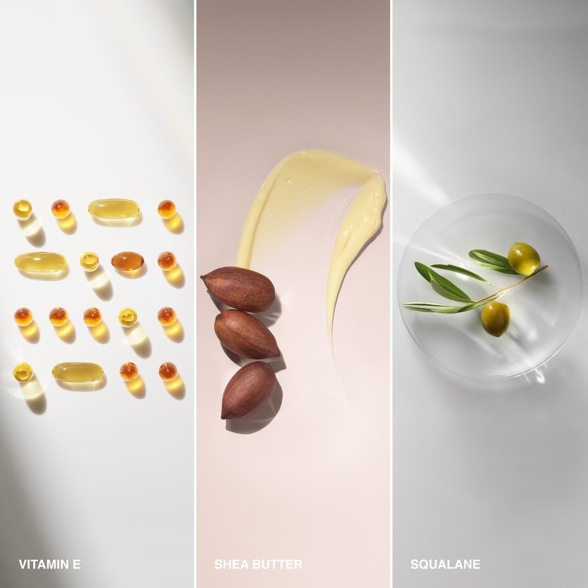 Base Enrichie De Vitamines Pour Les Yeux