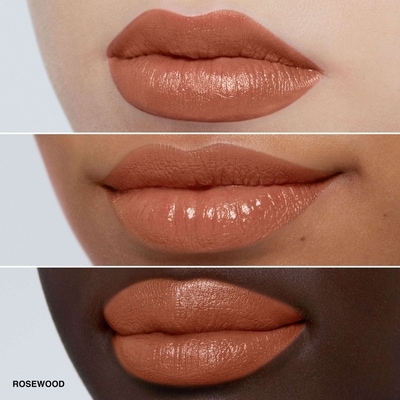 Luxe Lipstick 3