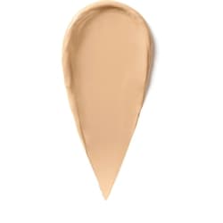 Skin Full Cover Concealer 2