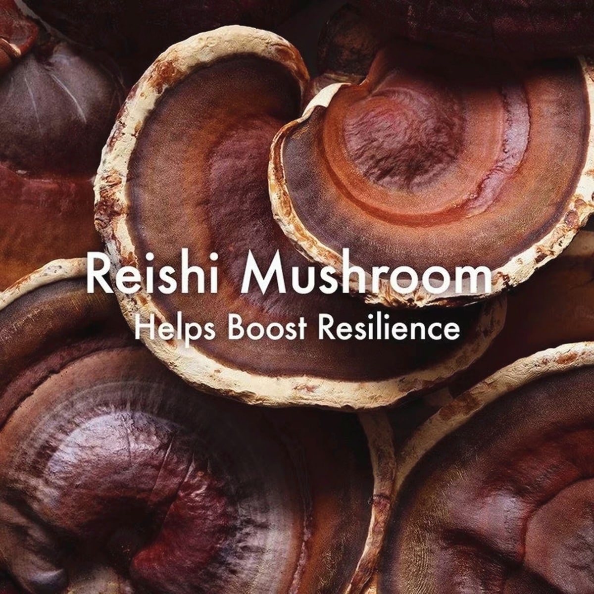 Dr. Andrew Weil for Origins™ Mega-Mushroom Skin Relief Micellar Cleanser