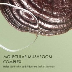 Dr. Andrew Weil For Origins™ Mega-Mushroom Relief & Resilience Fortifying Emulsion 5