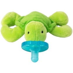 Turtle 1