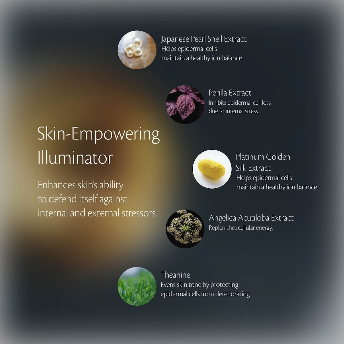 Hydro-clarifying Lotion