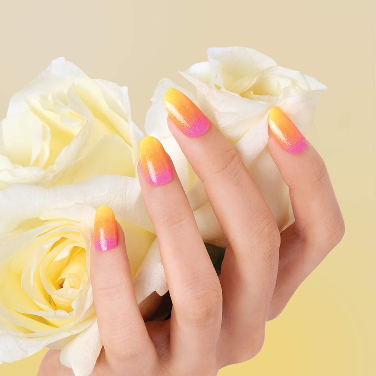 Kiss 100 Count - Active Oval