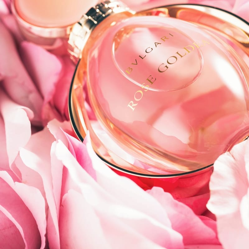 Bvlgari Rose Goldea | Shoppers Drug Mart