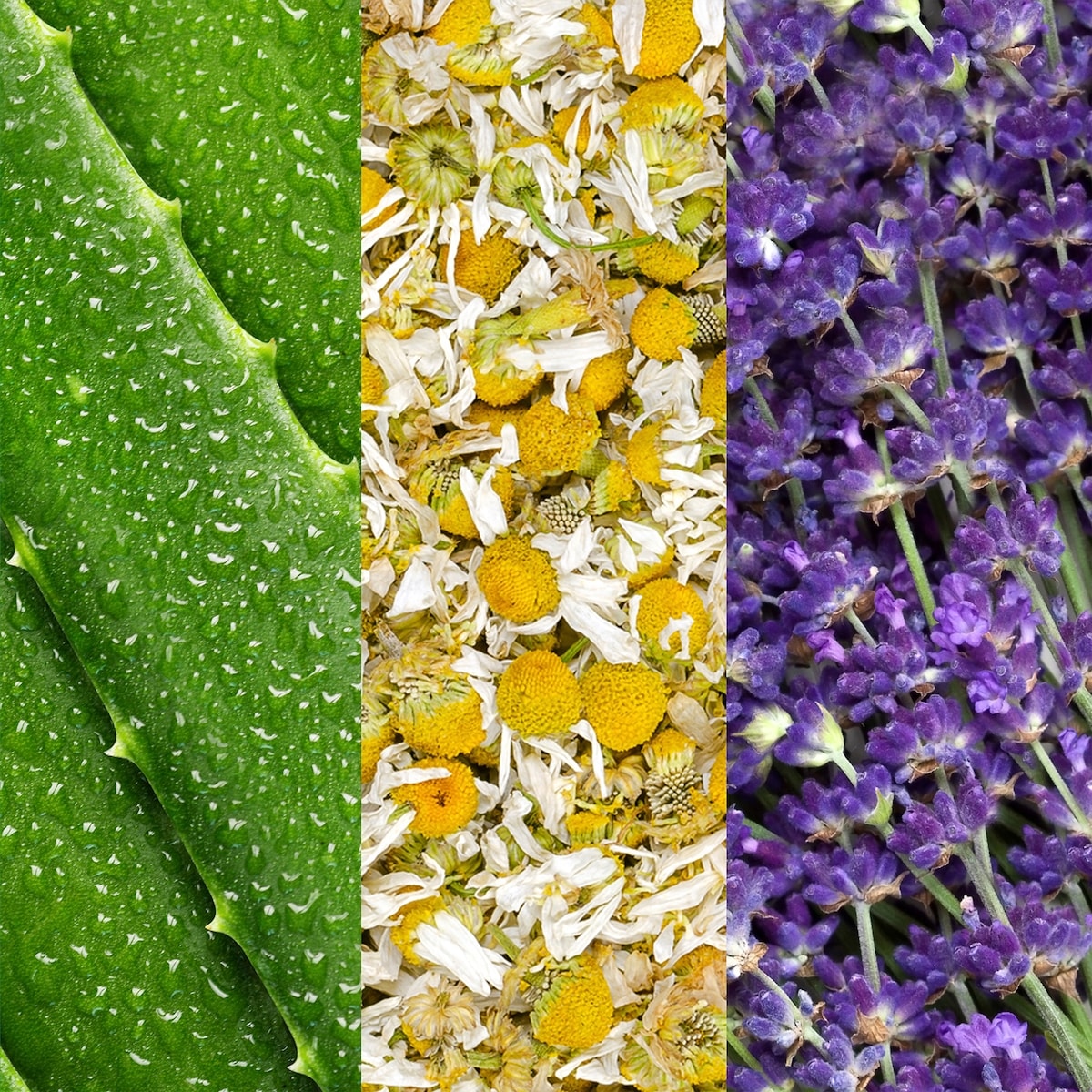 Facial Spray with Aloe, Chamomile & Lavender 118ml