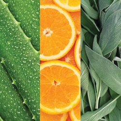 Facial Spray with Aloe, Sage & Orange Blossom 59ml 3