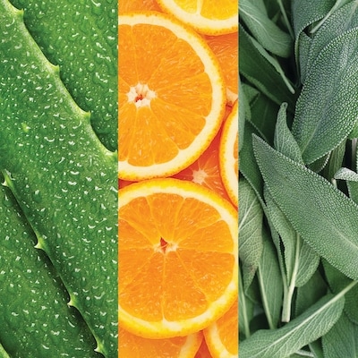 Facial Spray with Aloe, Sage & Orange Blossom 59ml 3