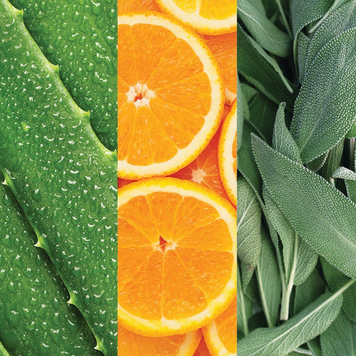 Vaporisateur Pour Le Visage À L'aloès, La Sauge Et Fleur D’Oranger