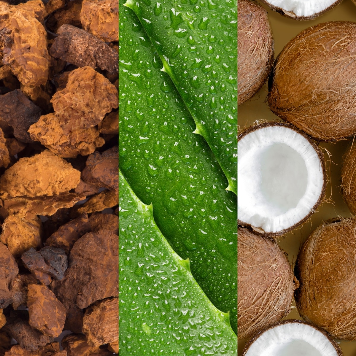 Vaporisateur pour le visage à l'aloès, aux adaptogènes et l'eau de coco