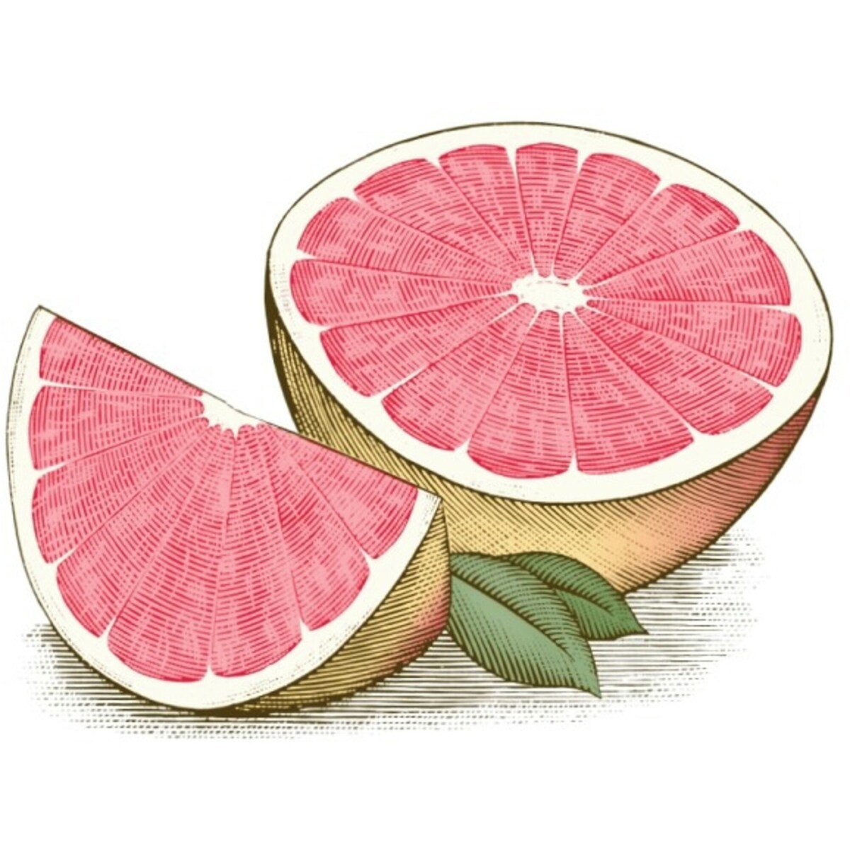 Baume hydratant pour les lèvres d’origine naturelle à 100 % au pamplemousse rose de Burt’s Bees, 1 tube