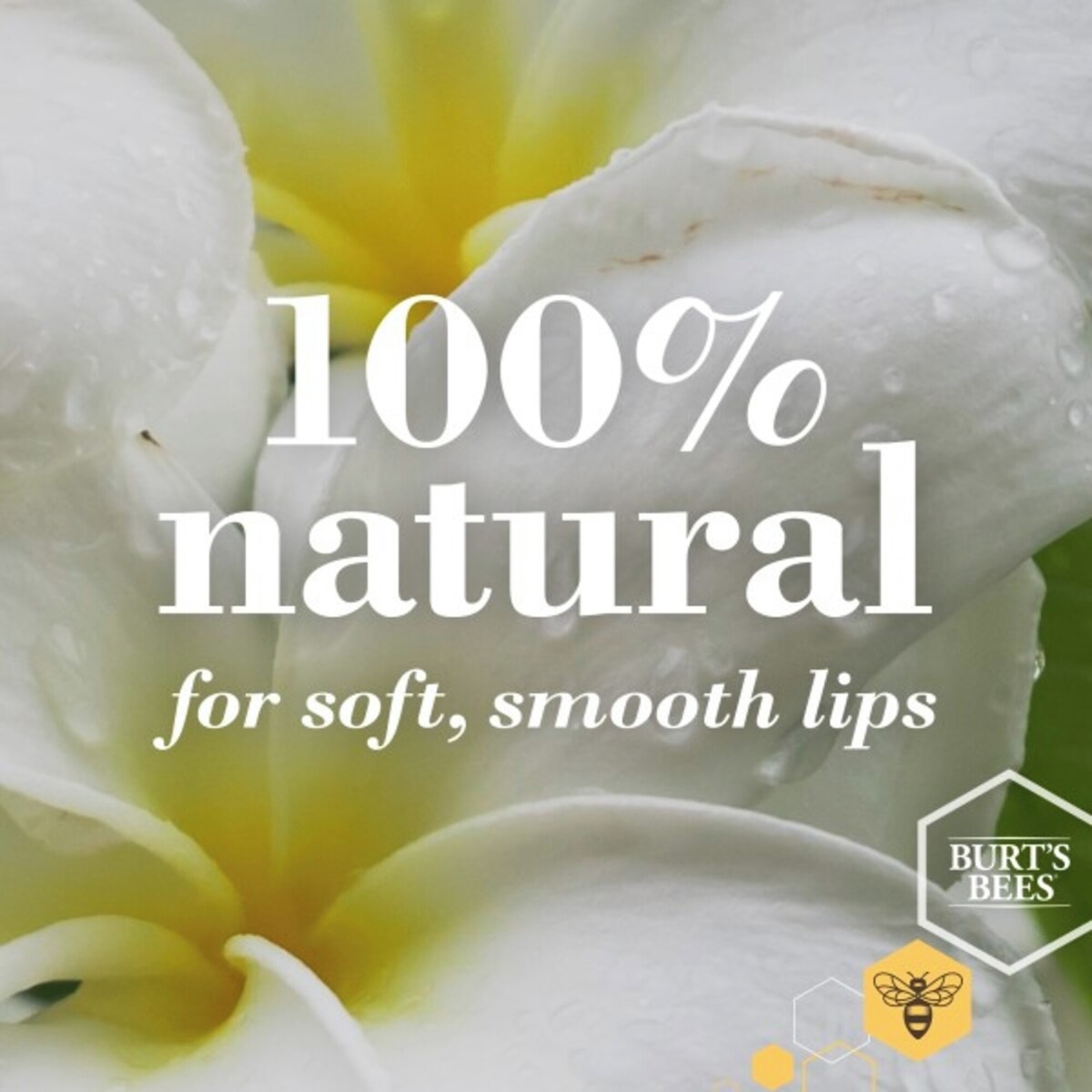 Baume hydratant pour les lèvres d’origine naturelle à 100 % au pamplemousse rose de Burt’s Bees, 1 tube