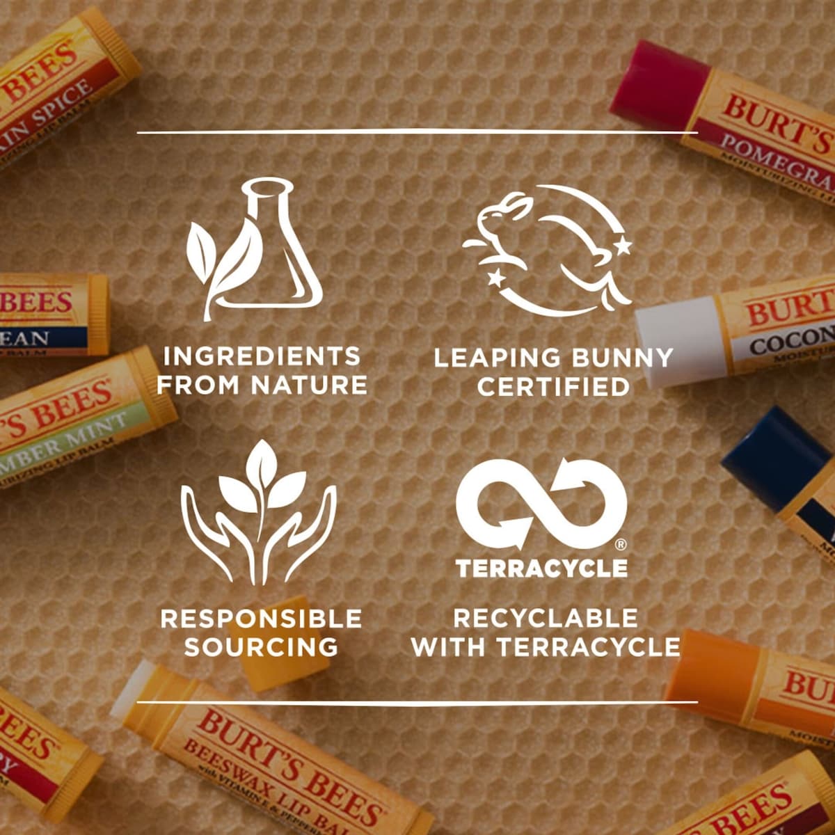 Baume hydratant pour les lèvres à la cire d’abeille d’origine naturelle à 100 % de Burt’s Bees, 1 tube