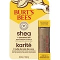 Shea and Coconut Oil Moisturizing Lip Balm Paper Tube, Natural Origin Lip Care