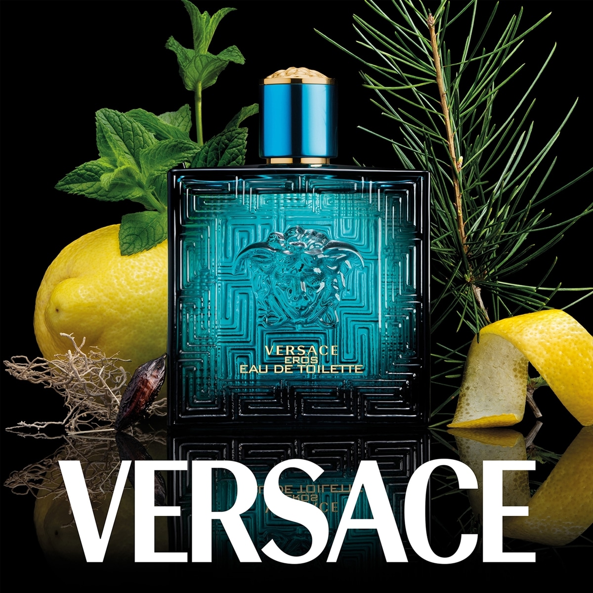 Eros Pour Homme Eau de Toilette Spray