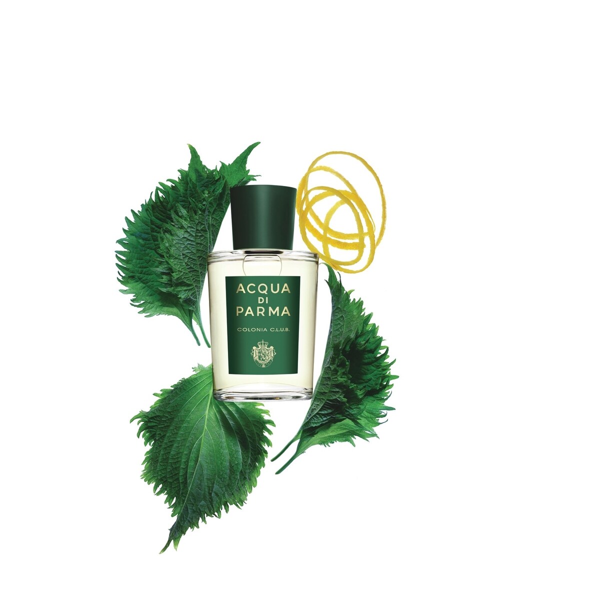 AQDP COLNA C.L.U.B. EDC