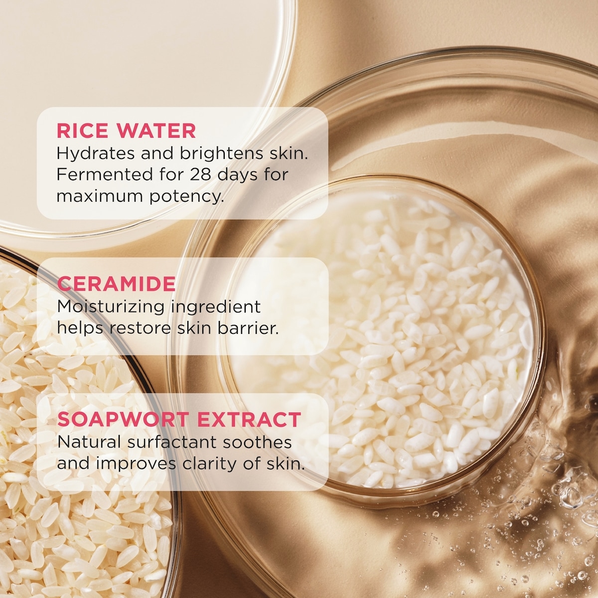 Rice Water Bright Vegan Cleansing Foam