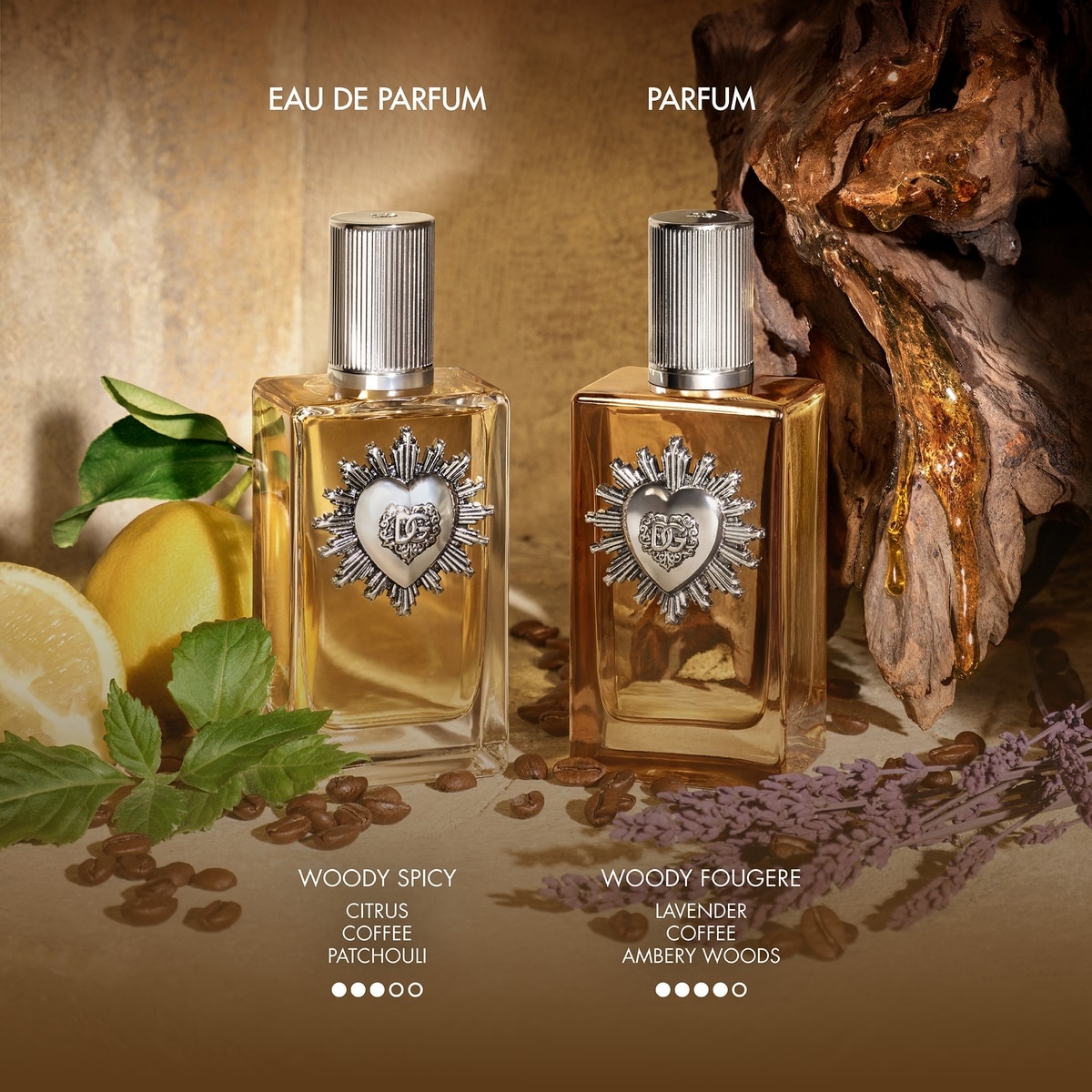 Devotion For Men Parfum