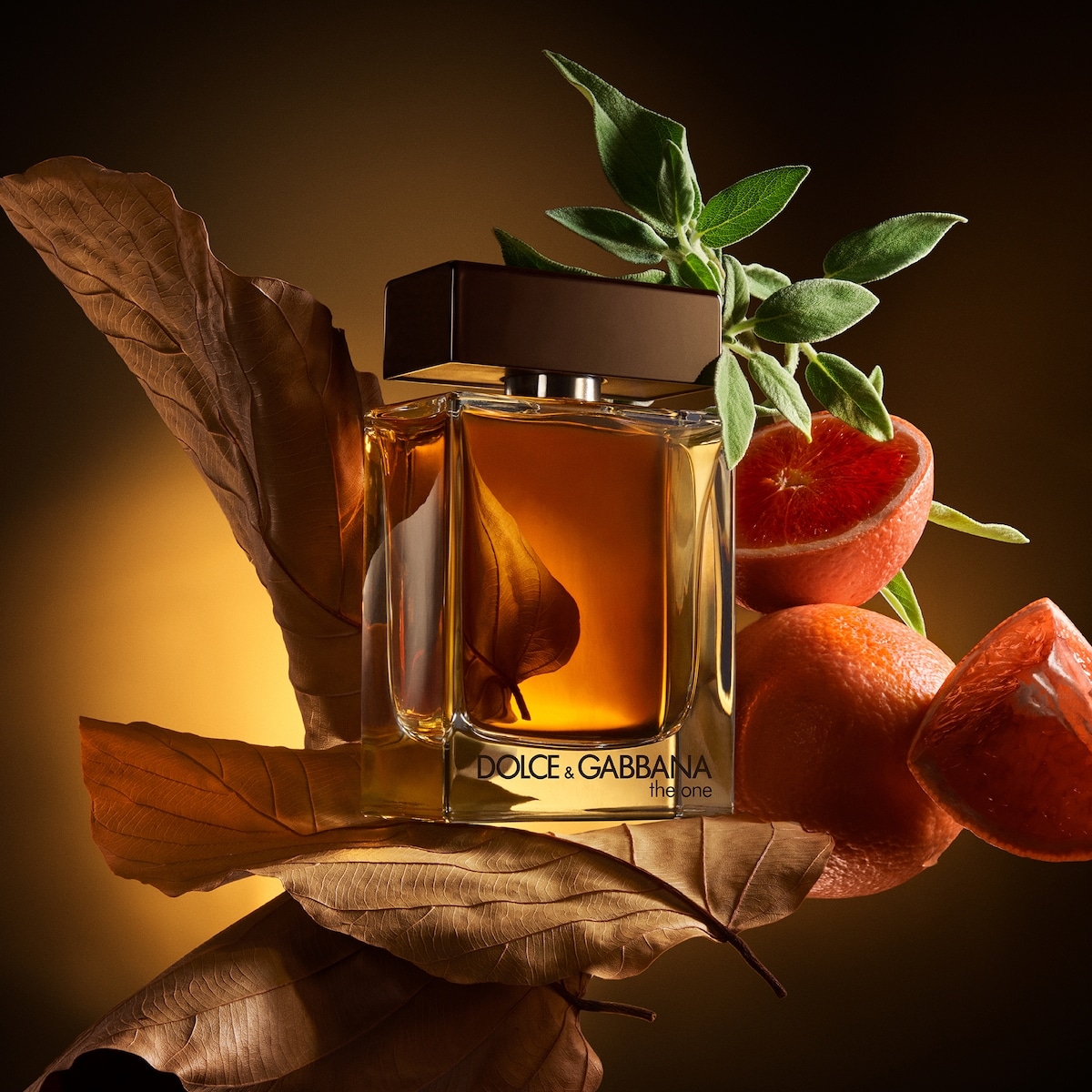 The One Pour Homme Eau de Parfum with Orange & Tobacco