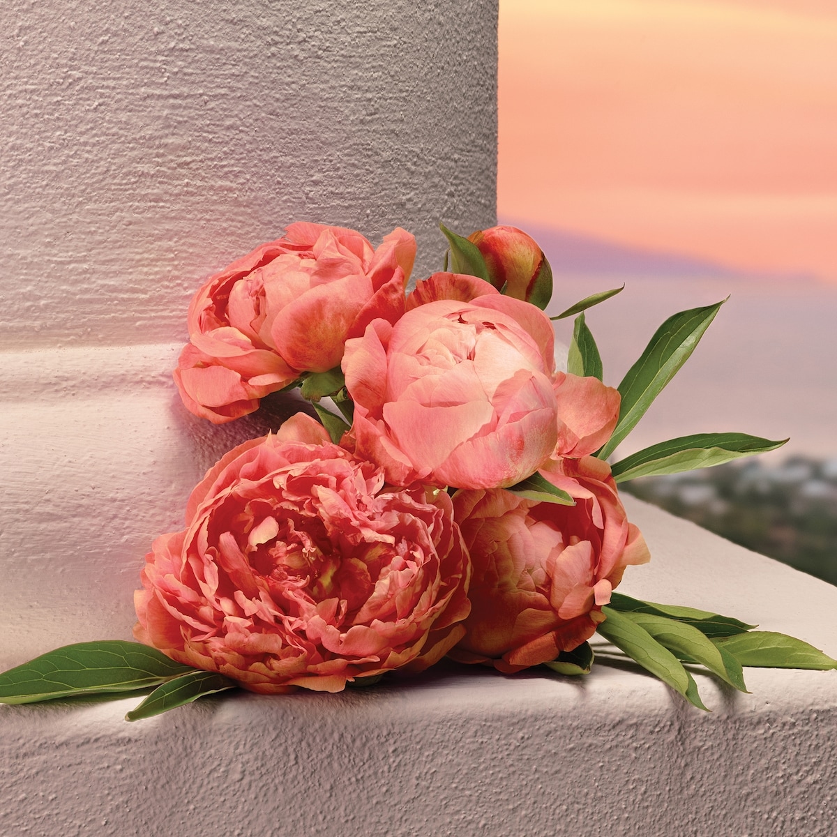 My Devotion Eau de Parfum Intense with Peony & Vanilla