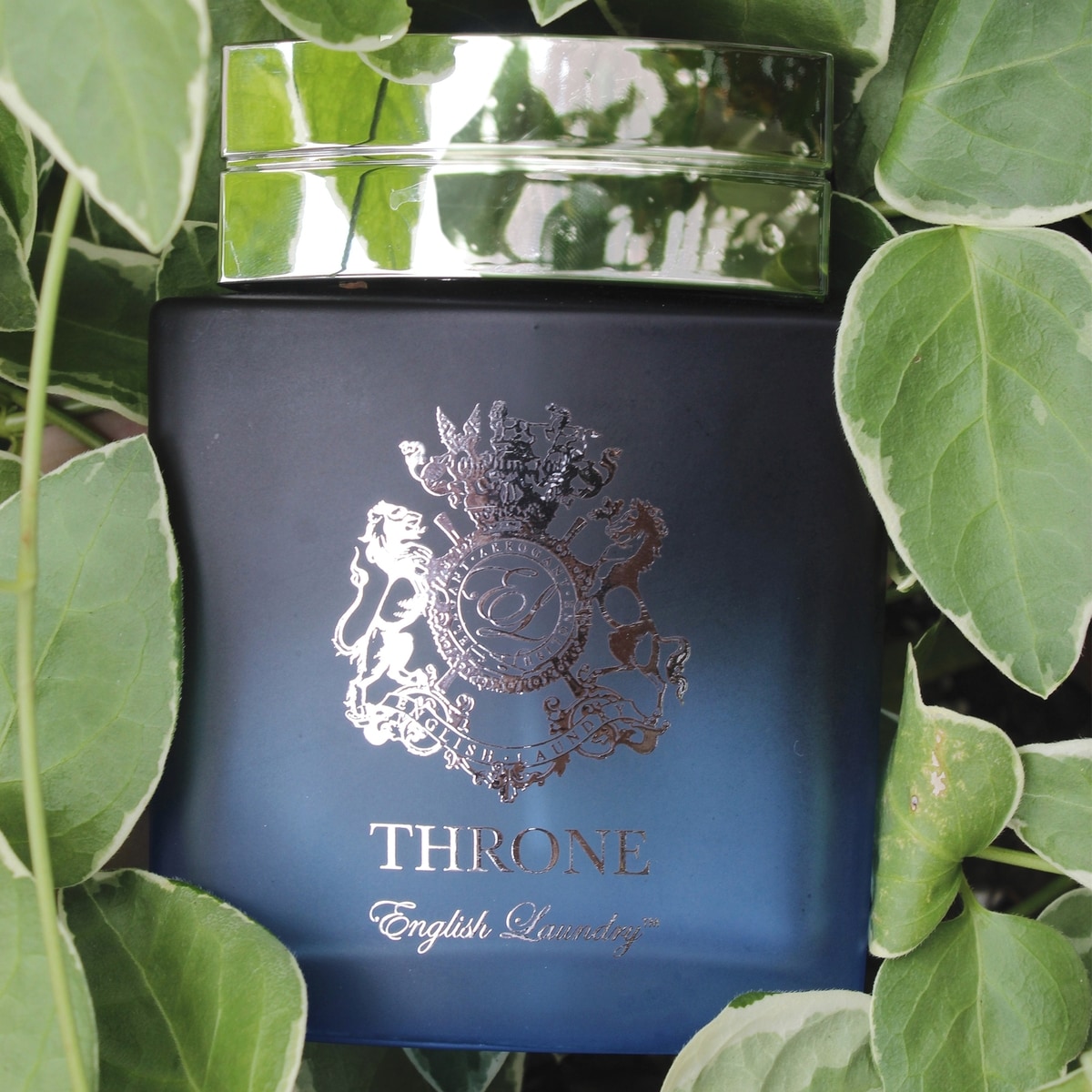 Trône 100ml
