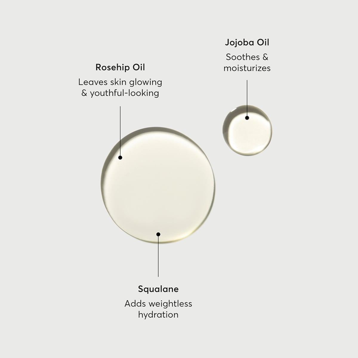 The Glow Getter Body Oil