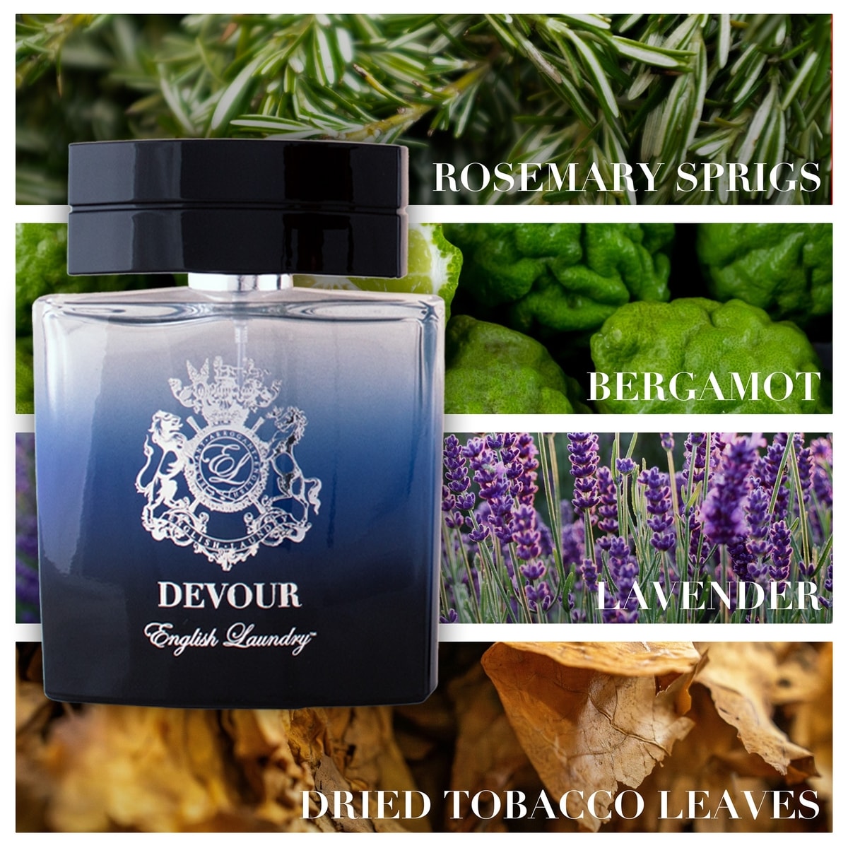 Coffret cadeau English Laundry Devour