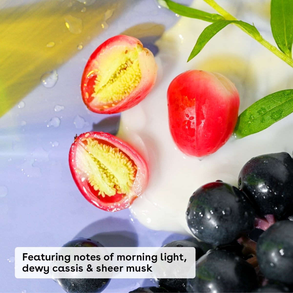 Shea Better 24H Moisture Body Lotion, Fresh & Cozy