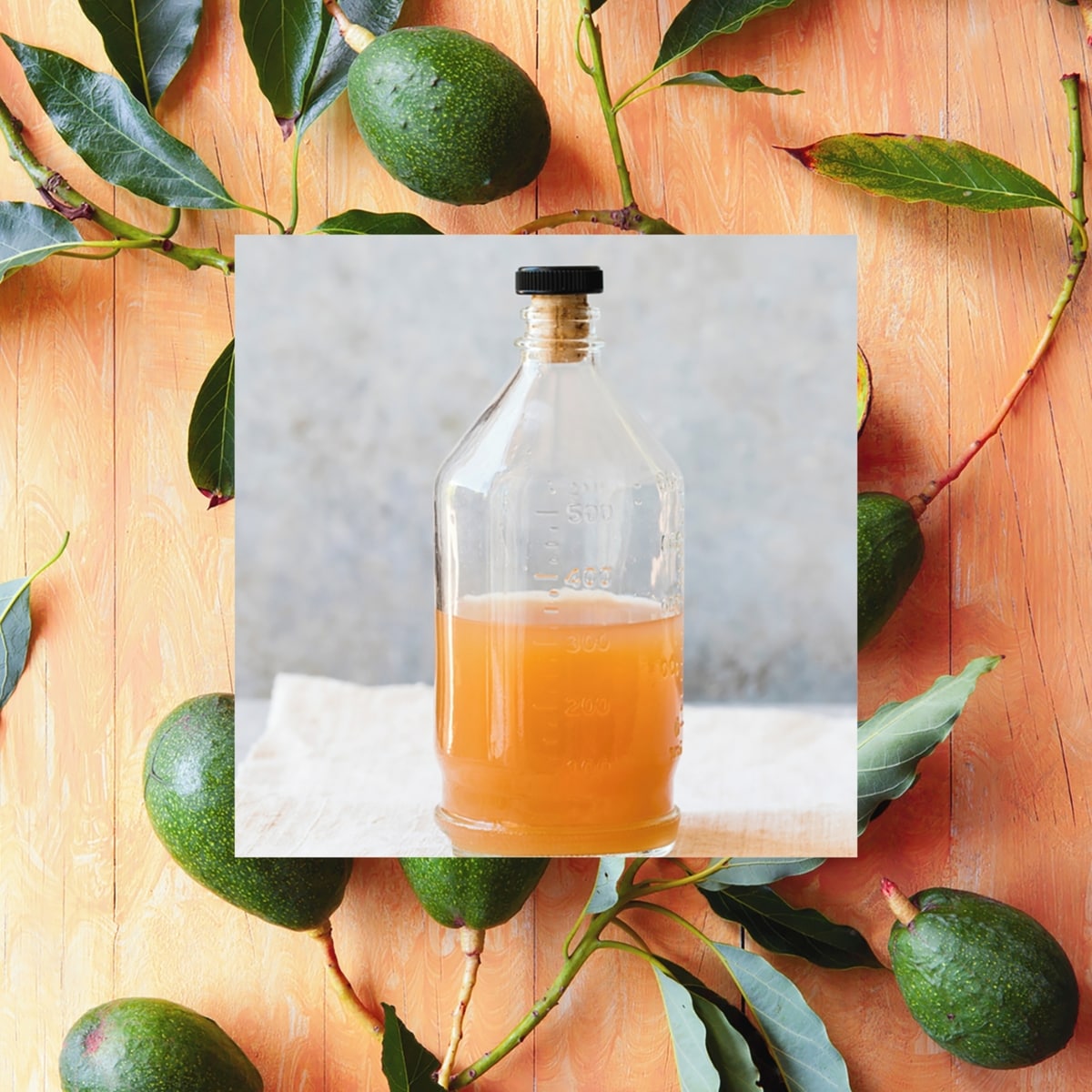 The Truly Unruly Shampoo