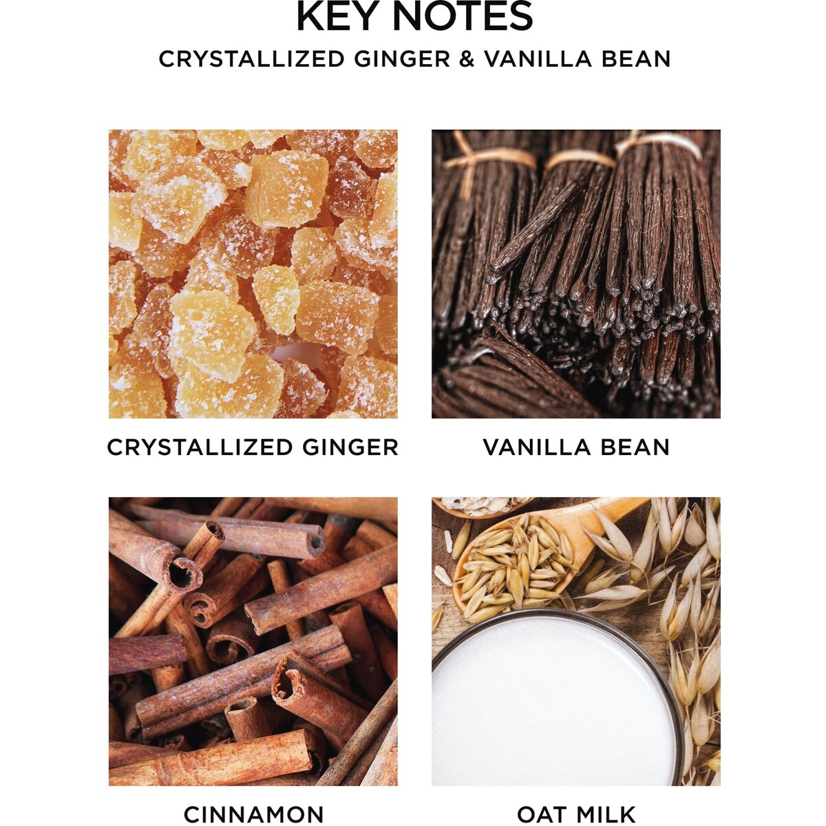 Bougie classique Crystallized Ginger & Vanilla Bean