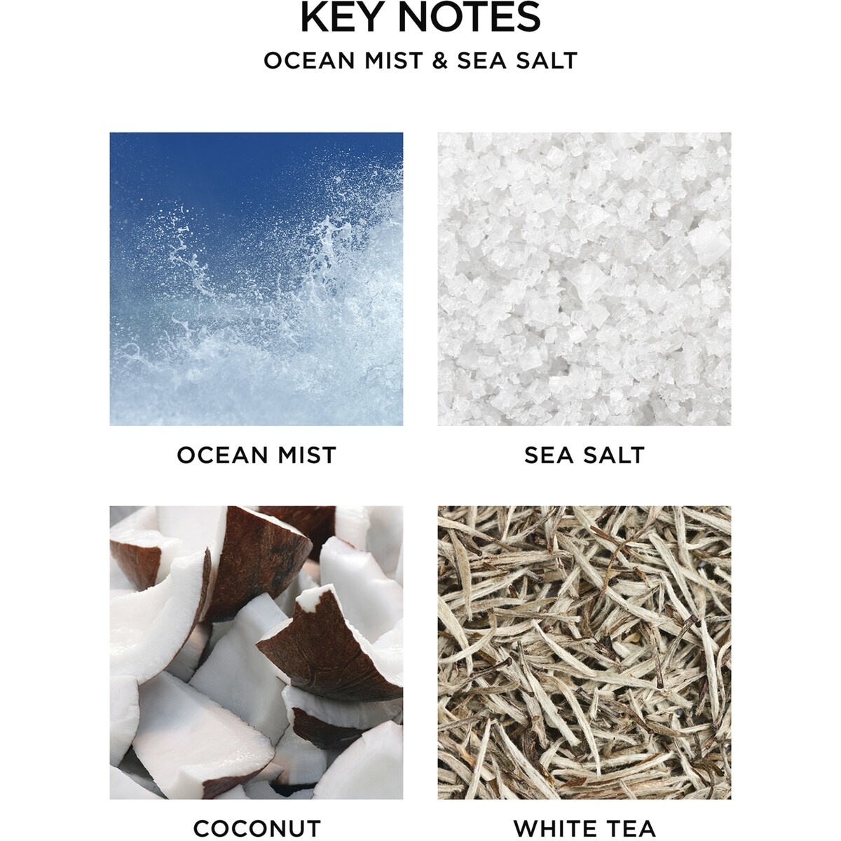 Bougie classique Ocean Mist & Sea Salt