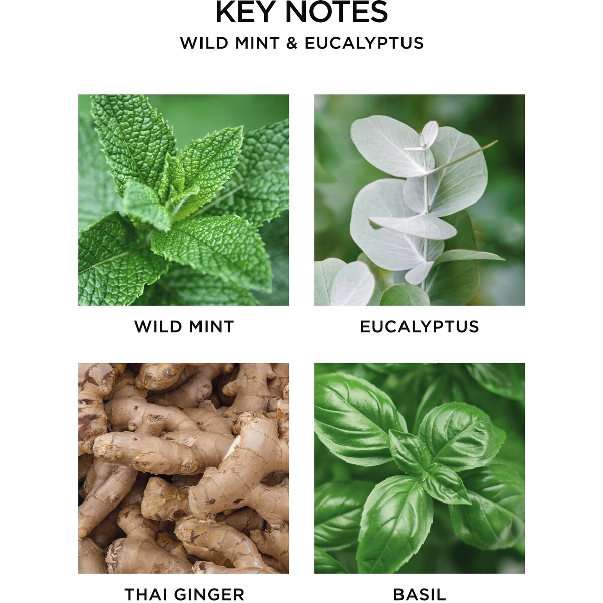 Portable Fragrance Diffuser Set