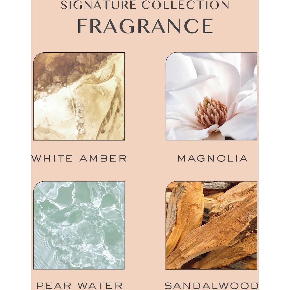 L'Unique Shampooing Signature