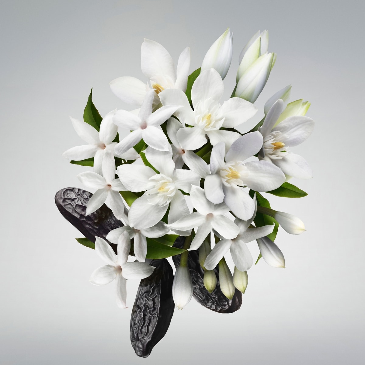 Good Girl Leg Elixir