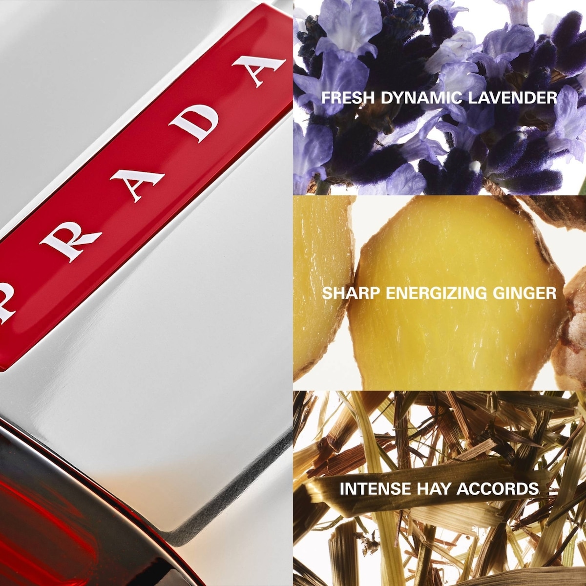 Eau de toilette en vaporisateur Luna Rossa Sport