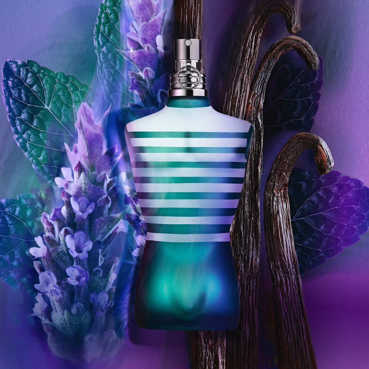 Le Male Eau de Toilette