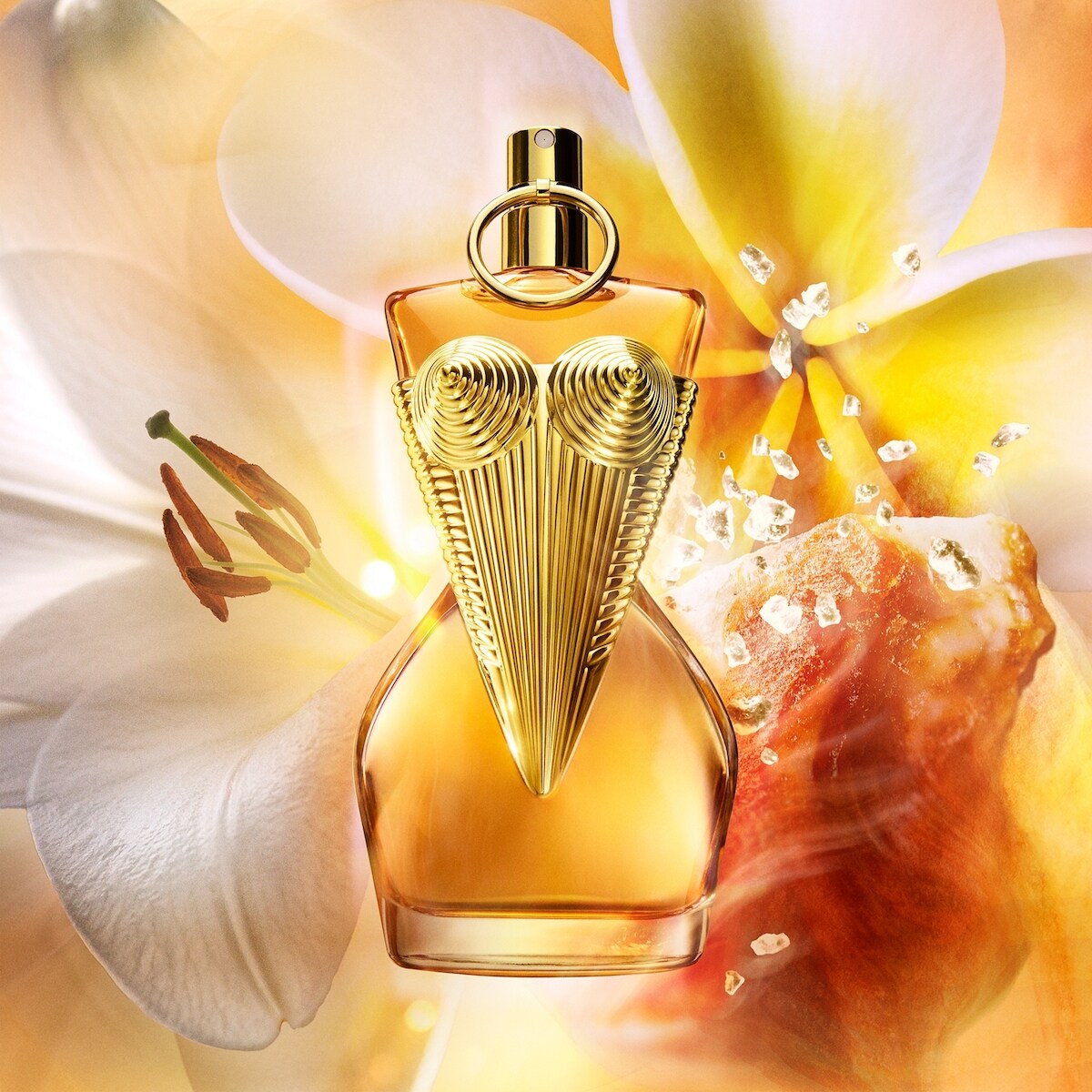 Jean Paul Gaultier Gaultier Divine Le Parfum 3-Piece Gift Set