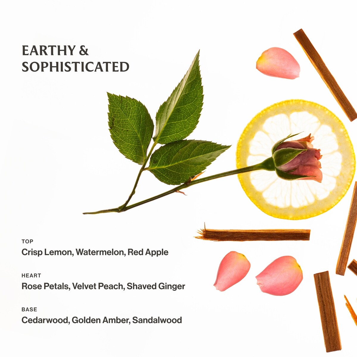 Power Mist Hydrating Hand Sanitizer Blue Sandalwood