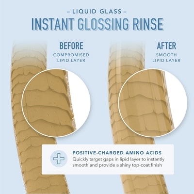 Liquid Glass Instant Glossing Rinse 4